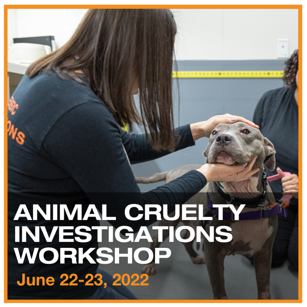 Other Training « Florida Animal Control Association